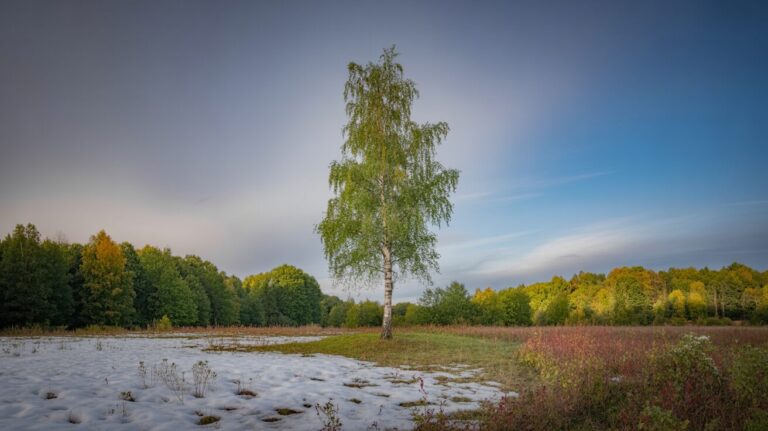 Pogoda Estonia