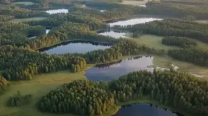 Estonia Powierzchnia Estonia powierzchnia