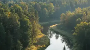 graniczy z Estonia