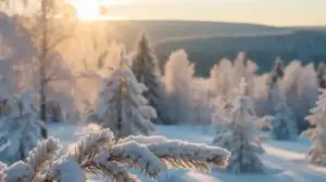Miłego Dnia Zimowe Pozdrowienia milego dnia zimowe pozdrowienia