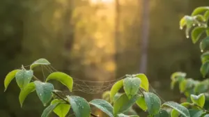 Wesołe Pozdrowienia Na Sobotę wesole pozdrowienia na sobote