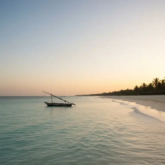 wiza zanzibar